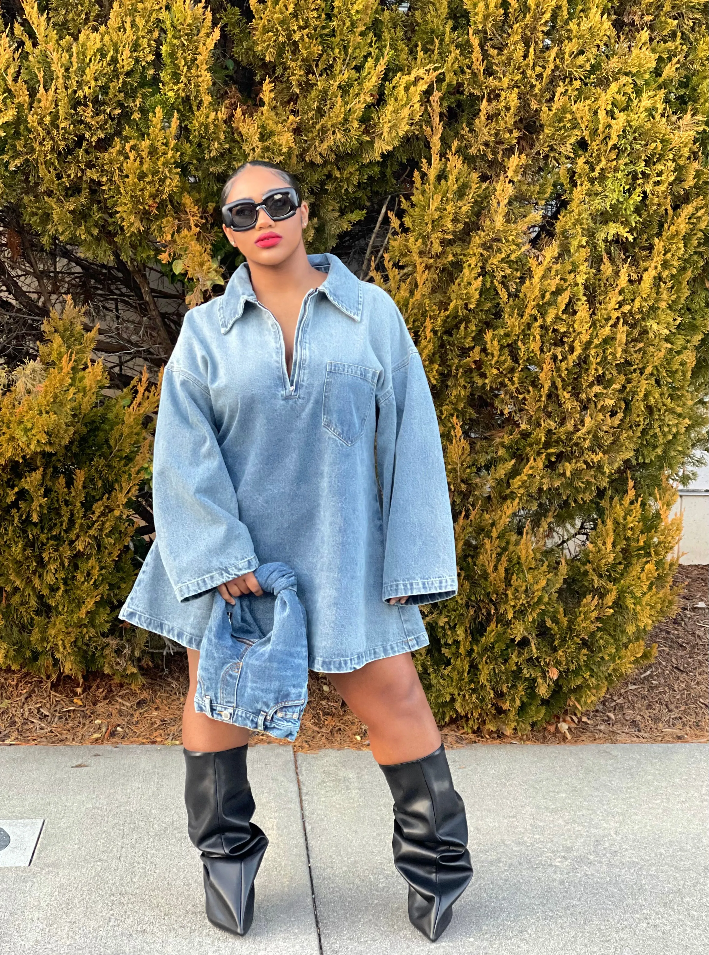 Lia Denim Mini Dress